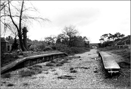 Alberta Place halt photo