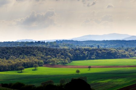 Landscape in Tuscany photo