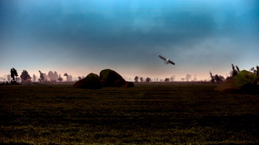 The Journey's warbles