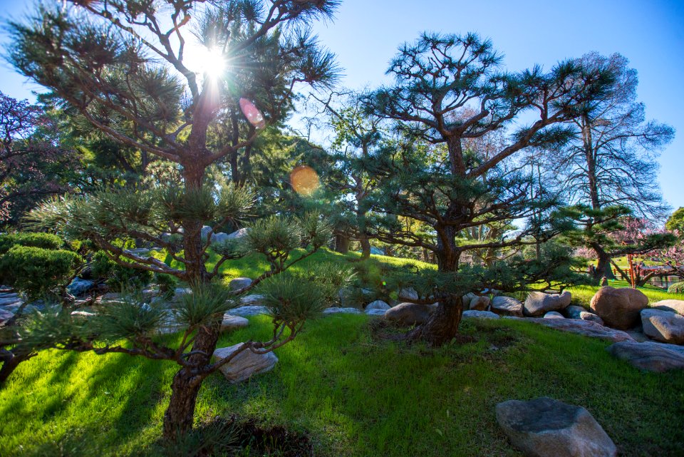 Jardin Japones Buenos Aires