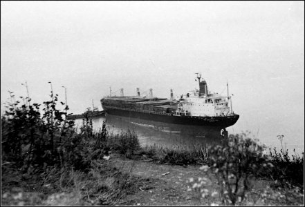 Ship aground at Penarth photo