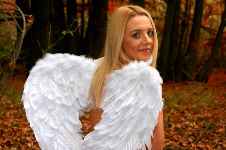 Wings leaves red
