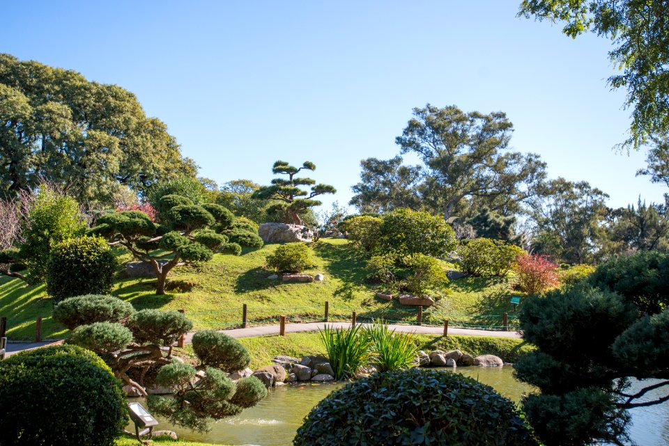 Jardin Japones Buenos Aires