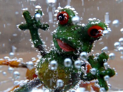 Frog water green