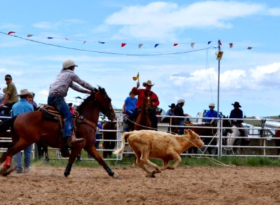 Bungendore Rodeo 2015