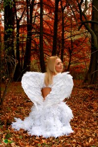 Wings leaves red