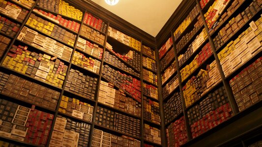 Harry potter wand bookshelf