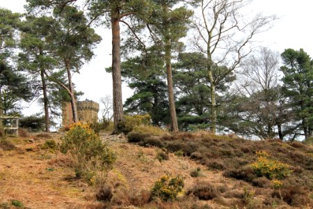 Leith-Hill-april-2016
