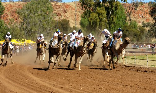 Alice Springs Camel Cup 2015 photo
