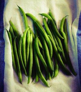 Vegetable green bean photo