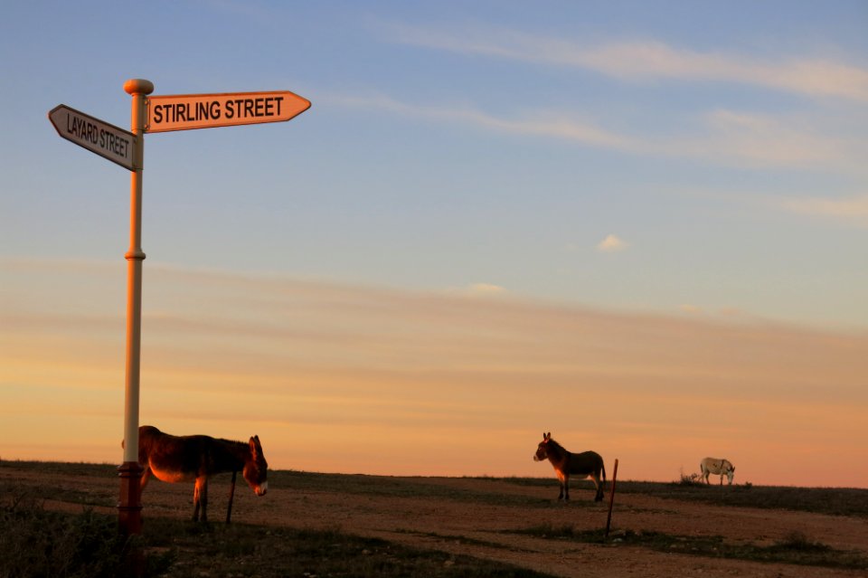 Silverton, New South Wales