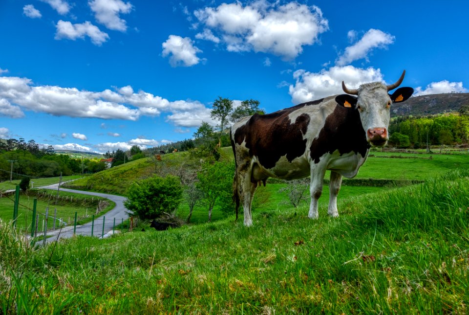 Ruta Cabenca – Cavadosa