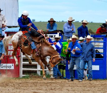Bungendore Rodeo 2015