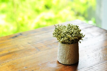 Bloom flower table