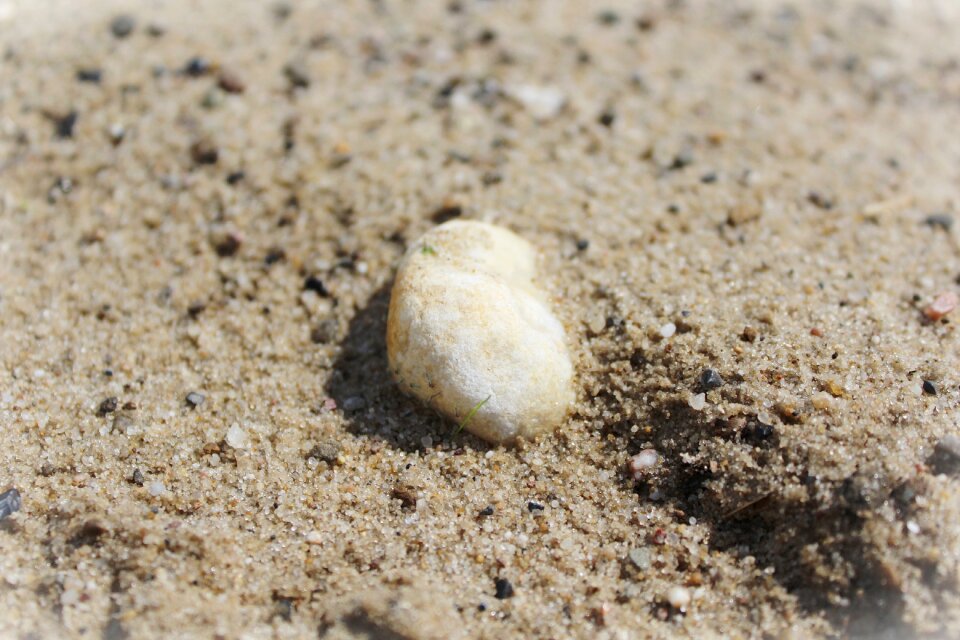 Sea nature sand beach