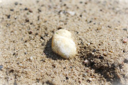 Sea nature sand beach
