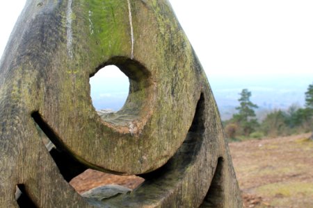 Leith-Hill-april-2016