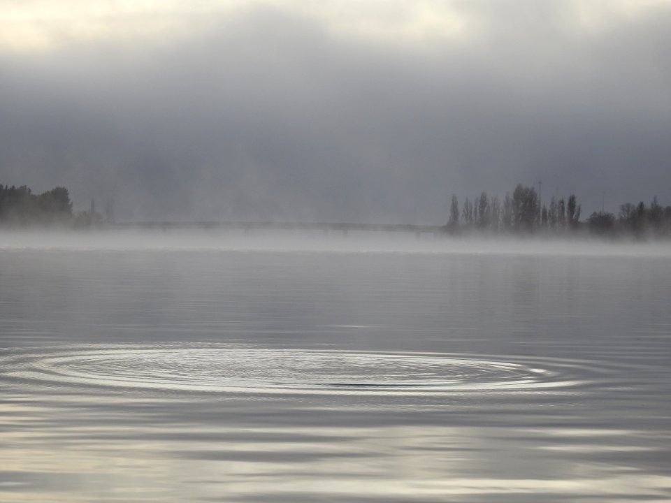Foggy morning on the lake