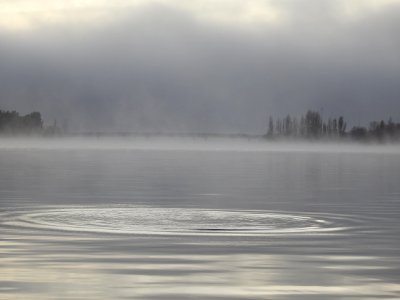 Foggy morning on the lake photo