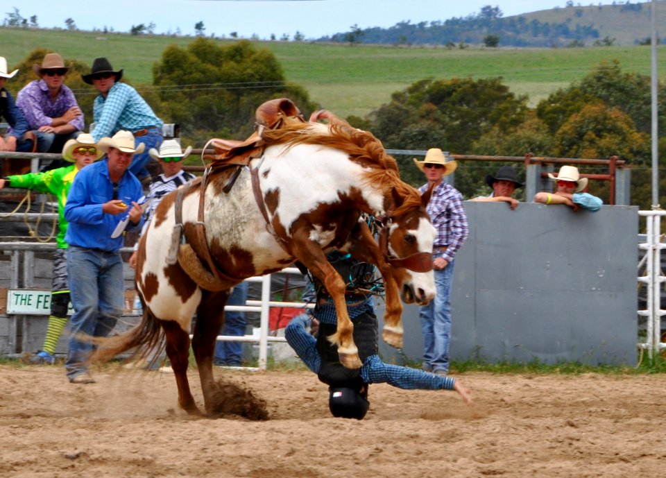 Bungendore Rodeo 2015