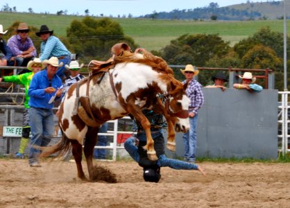Bungendore Rodeo 2015