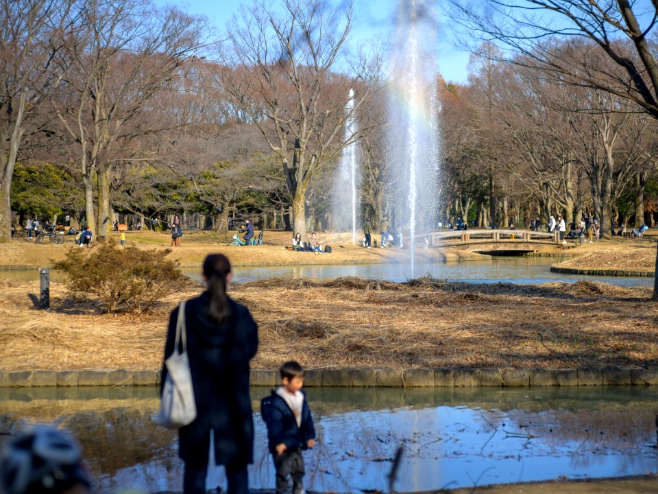 Little Rainbow, Yoyogi Park