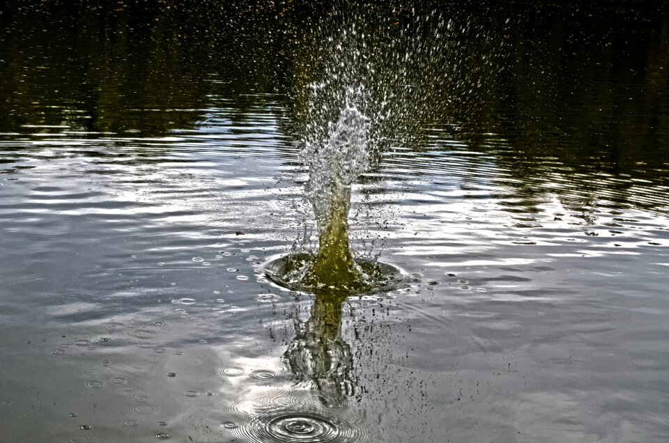 Nature water splash