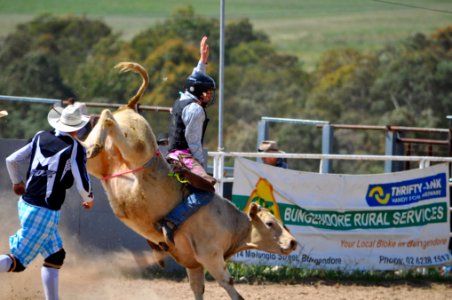 Bungendore Rodeo 2015