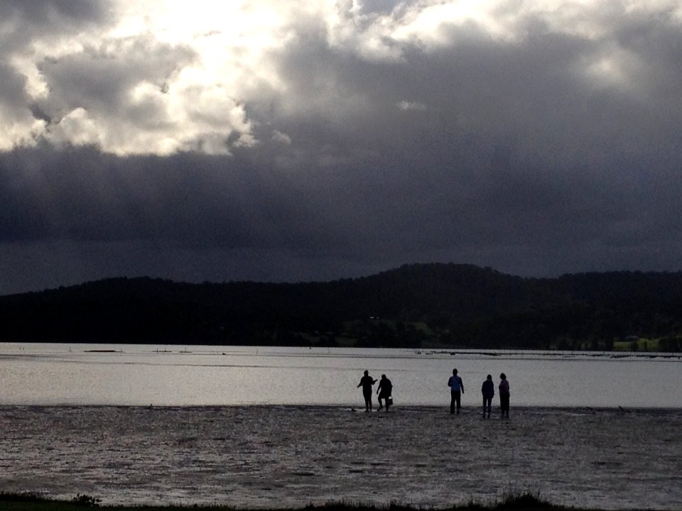 Collecting worms for bait, Narooma