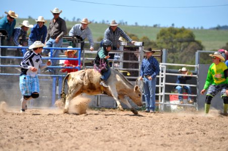Bungendore Rodeo 2015