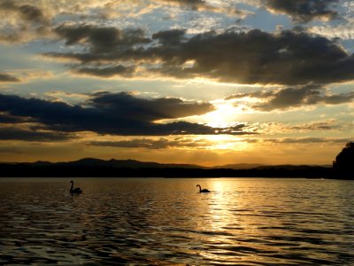 Evening paddle on Lake Burley Griffin photo