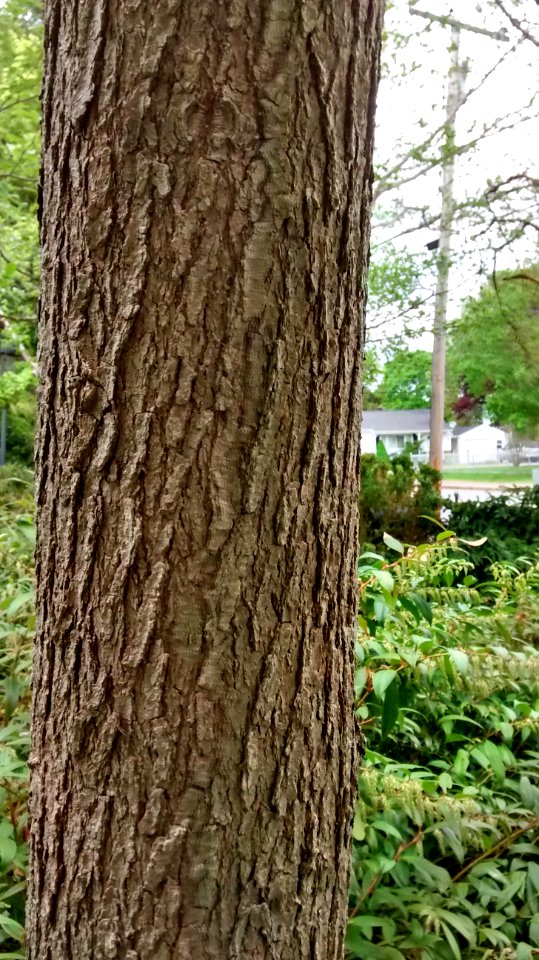 IMG 20150513 144215864 HDR