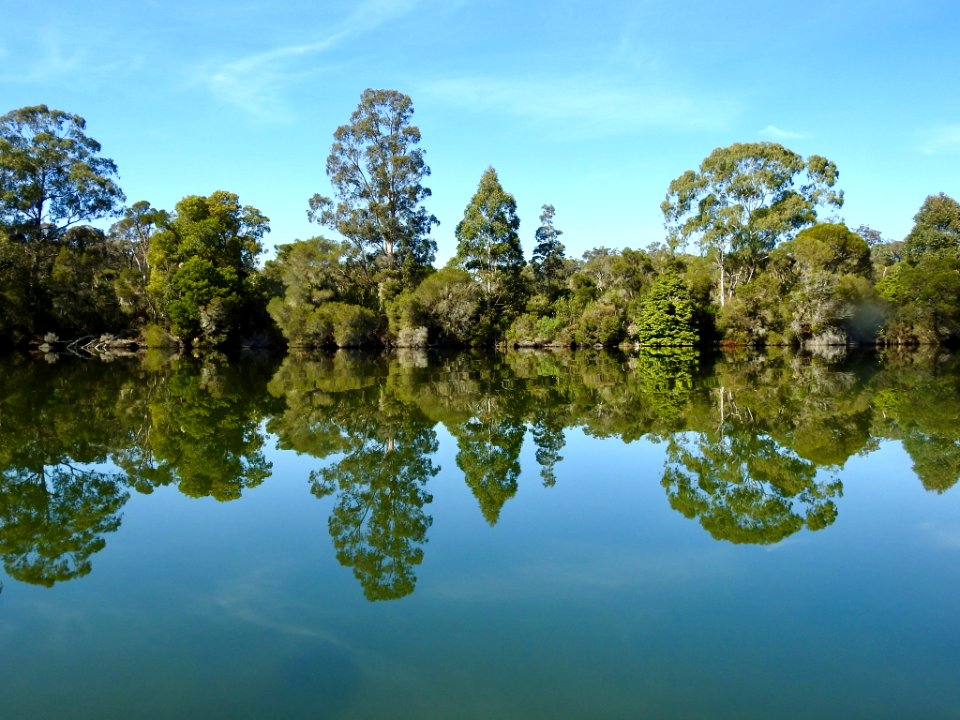 Reflections on Genoa River