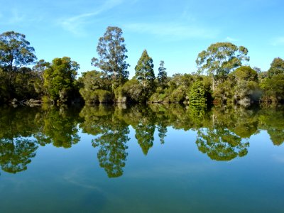 Reflections on Genoa River