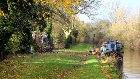 Late Autumn Towpath photo