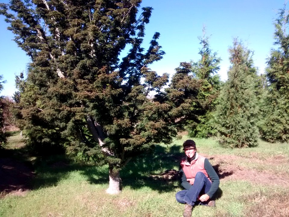 2015-10-19 04-09-22