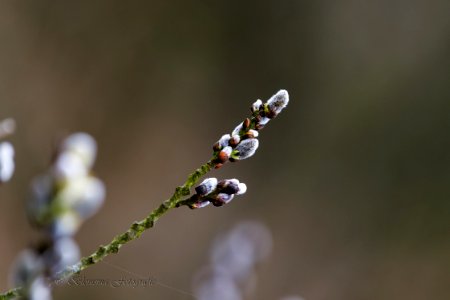 10-04-2016  145709 (1)