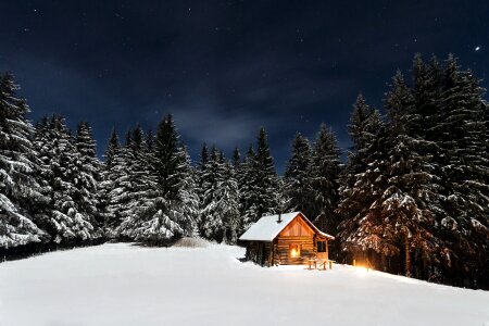 Forest cottage log cabin photo