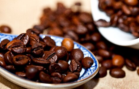 Roasted coffee the variety of coffee arabica