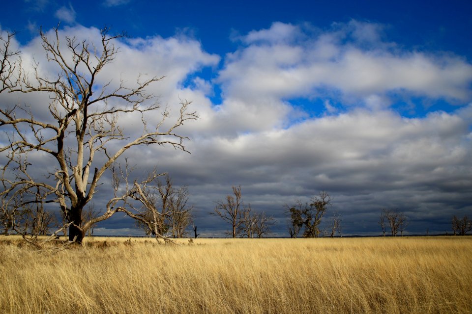 Murray Sunset National Park