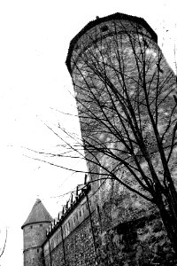 Zamek Tower BW photo