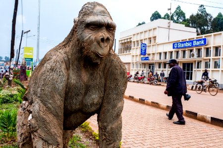 USAID Measuring Impact Conservation Enterprise Retrospective (Uganda; International Gorilla Conservation Program) photo