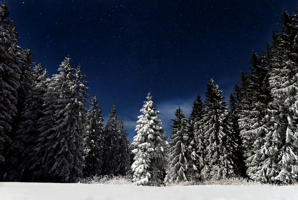 Landscape winter outdoor