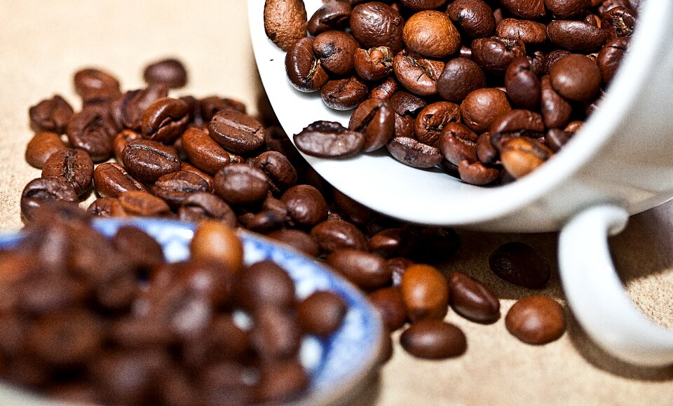 Roasted coffee the variety of coffee arabica