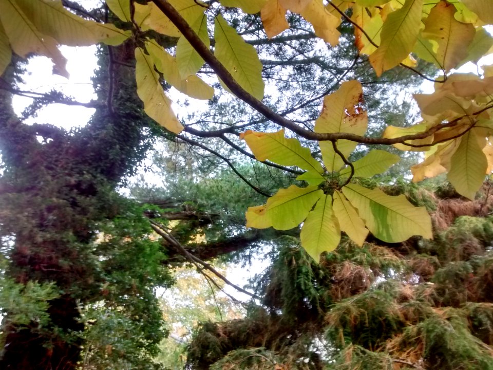 IMG 20151029 165926343 HDR