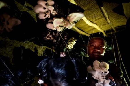 USAID Measuring Impact Conservation Enterprise Retrospective (Uganda; International Gorilla Conservation Program)