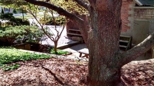 IMG 20150511 093257508 HDR