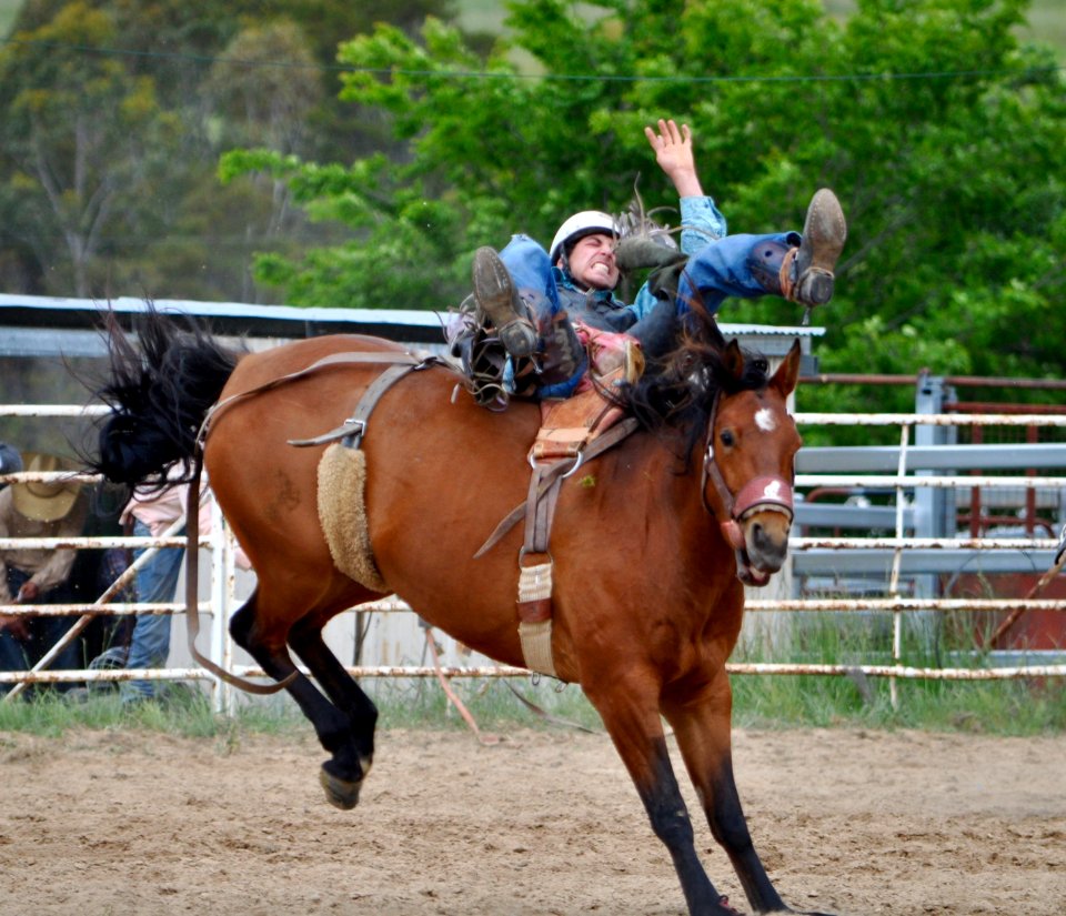 Bungendore Rodeo 2015