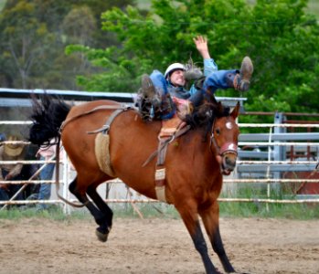 Bungendore Rodeo 2015