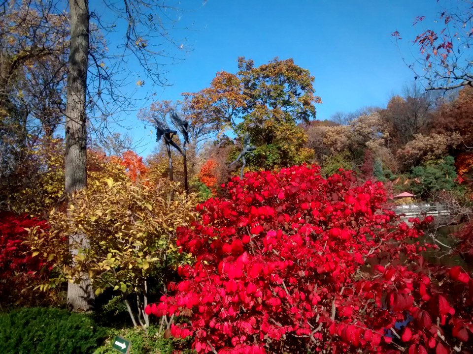 IMG 20151026 103032952
